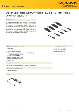 DeLOCK 86802 Cable USB Type-C™ male to 4 x DC 5.5 x 2.1 mm female Fiche technique