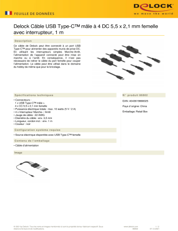 DeLOCK 86802 Cable USB Type-C™ male to 4 x DC 5.5 x 2.1 mm female Fiche technique | Fixfr