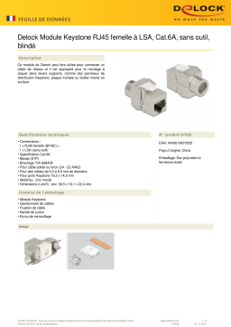 DeLOCK 87032 Keystone Module RJ45 jack to LSA Cat.6A toolfree shielded Fiche technique