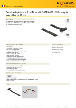 DeLOCK 64135 M.2 Key M to U.2 SFF-8639 NVMe Adapter angled Fiche technique