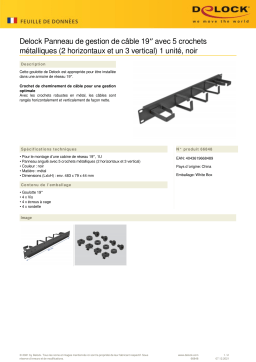 DeLOCK 66848 19″ Cable Management Routing Panel Fiche technique