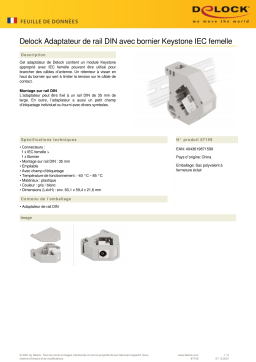 DeLOCK 87159 DIN rail Adapter Fiche technique