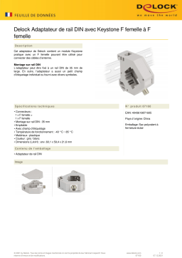 DeLOCK 87160 DIN rail Adapter Fiche technique