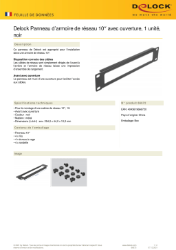 DeLOCK 66672 10″ Network Cabinet Panel Fiche technique