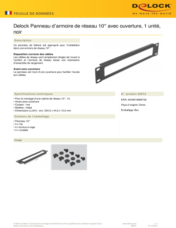 DeLOCK 66672 10″ Network Cabinet Panel Fiche technique | Fixfr