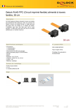 DeLOCK 87031 RJ45 FPC (Flexible Printed Circuit) window feed-through 30 cm Fiche technique