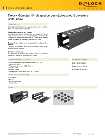 DeLOCK 66844 10″ Cable Management Routing Panel Fiche technique | Fixfr