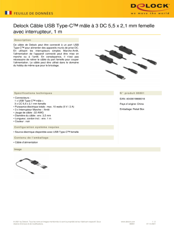 DeLOCK 86801 Cable USB Type-C™ male to 3 x DC 5.5 x 2.1 mm female Fiche technique | Fixfr
