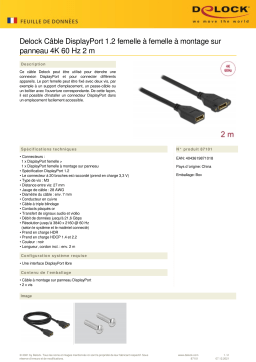 DeLOCK 87101 DisplayPort 1.2 cable female to female panel-mount 4K 60 Hz 2 m Fiche technique