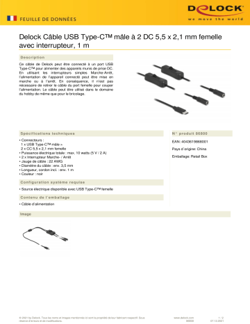 DeLOCK 86800 Cable USB Type-C™ male to 2 x DC 5.5 x 2.1 mm female Fiche technique | Fixfr