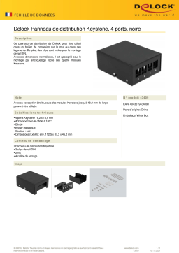 DeLOCK 43409 Keystone Patch Panel 4 Port black Fiche technique