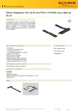 DeLOCK 64133 M.2 Key M to PCIe x16 NVMe Adapter Fiche technique