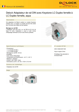 DeLOCK 87194 DIN rail Adapter Fiche technique