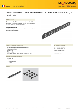 DeLOCK 66679 19″ Network Cabinet Panel Fiche technique