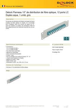 DeLOCK 66789 10″ Fiber Optic Patch Panel 12 Port LC Duplex aqua 1U grey Fiche technique