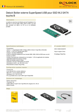 DeLOCK 42007 External Enclosure SuperSpeed USB for M.2 SATA SSD Key B Fiche technique