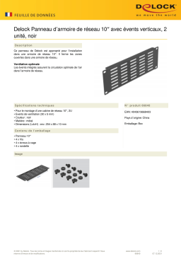 DeLOCK 66840 10″ Network Cabinet Panel Fiche technique