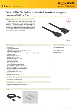 DeLOCK 87103 DisplayPort 1.2 cable female to female panel-mount 4K 60 Hz 3 m Fiche technique