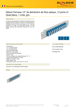 DeLOCK 66796 10″ Fiber Optic Patch Panel 12 Port LC Quad blue 1U grey Fiche technique