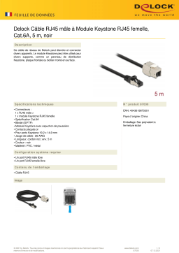 DeLOCK 87030 Cable RJ45 plug to Keystone Module RJ45 jack Cat.6A 5 m black Fiche technique