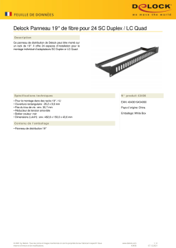 DeLOCK 43406 19″ Fiber Panel for 24 x SC Duplex / LC Quad Fiche technique