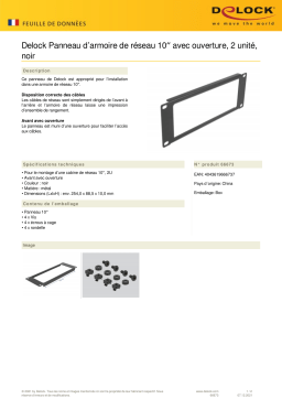 DeLOCK 66673 10″ Network Cabinet Panel Fiche technique