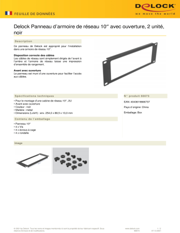 DeLOCK 66673 10″ Network Cabinet Panel Fiche technique | Fixfr