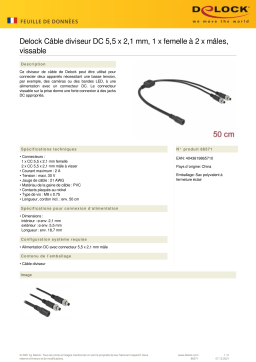 DeLOCK 86571 DC Splitter Cable 5.5 x 2.1 mm 1 x female to 2 x male screwable Fiche technique