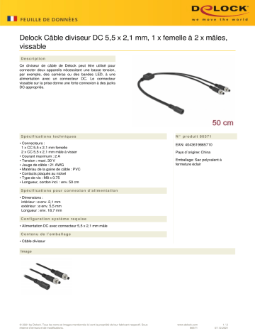 DeLOCK 86571 DC Splitter Cable 5.5 x 2.1 mm 1 x female to 2 x male screwable Fiche technique | Fixfr