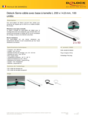 DeLOCK 19502 Cable tie Fiche technique | Fixfr