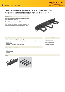 DeLOCK 66847 10″ Cable Management Routing Panel Fiche technique