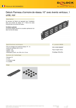 DeLOCK 66839 10″ Network Cabinet Panel Fiche technique