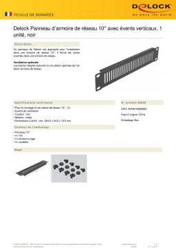 DeLOCK 66668 10″ Network Cabinet Panel Fiche technique