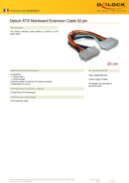 DeLOCK 82120 ATX Mainboard Extension Cable 20 pin Fiche technique