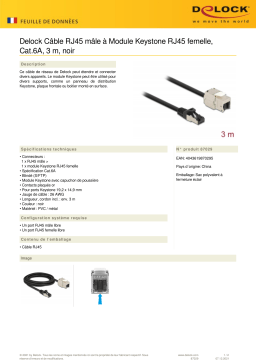 DeLOCK 87029 Cable RJ45 plug to Keystone Module RJ45 jack Cat.6A 3 m black Fiche technique