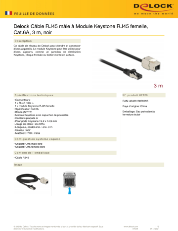 DeLOCK 87029 Cable RJ45 plug to Keystone Module RJ45 jack Cat.6A 3 m black Fiche technique | Fixfr