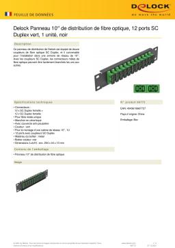 DeLOCK 66772 10″ Fiber Optic Patch Panel 12 Port SC Duplex green 1U black Fiche technique