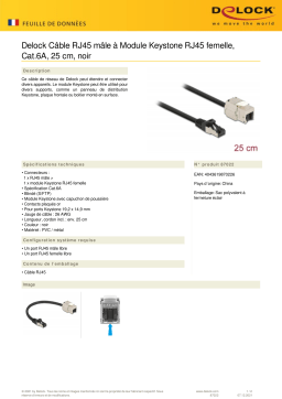 DeLOCK 87022 Cable RJ45 plug to Keystone Module RJ45 jack Cat.6A 25 cm black  Fiche technique