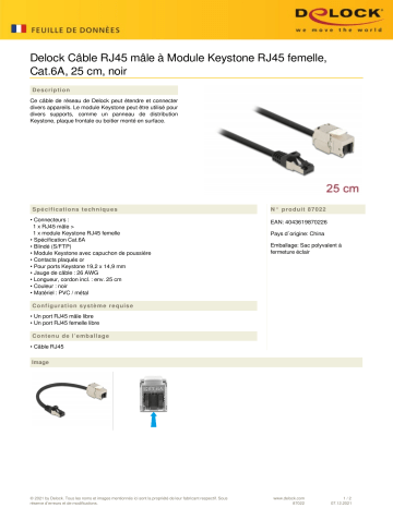 DeLOCK 87022 Cable RJ45 plug to Keystone Module RJ45 jack Cat.6A 25 cm black  Fiche technique | Fixfr