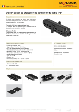 DeLOCK 86982 Cable Connection Protection Box IP54  Fiche technique