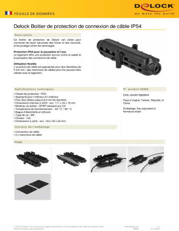 DeLOCK 86982 Cable Connection Protection Box IP54  Fiche technique | Fixfr