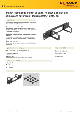 DeLOCK 66654 10″ Cable Management Routing Panel Fiche technique