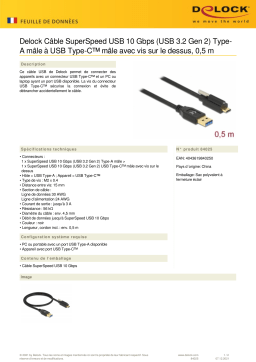 DeLOCK 84025 SuperSpeed USB 10 Gbps (USB 3.2 Gen 2) Cable Type-A male to USB Type-C™ male Fiche technique
