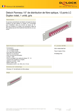 DeLOCK 66790 10″ Fiber Optic Patch Panel 12 Port LC Duplex violet 1U grey Fiche technique