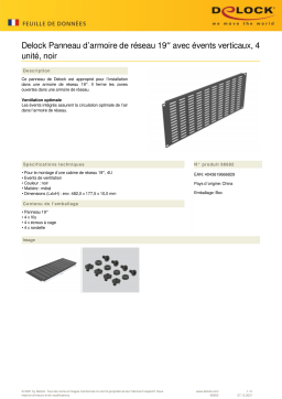 DeLOCK 66682 19″ Network Cabinet Panel Fiche technique