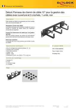 DeLOCK 66656 10″ Cable Management Routing Panel Fiche technique