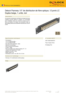 DeLOCK 66767 10″ Fiber Optic Patch Panel 12 Port LC Duplex beige 1U black Fiche technique