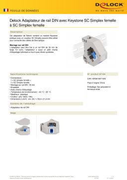 DeLOCK 87164 DIN rail Adapter Fiche technique