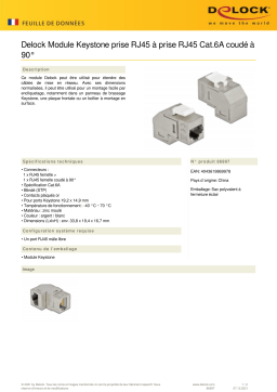 DeLOCK 86997 Keystone Module RJ45 jack to RJ45 jack Cat.6A 90° angled Fiche technique