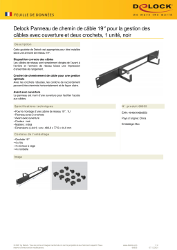 DeLOCK 66655 19″ Cable Management Routing Panel Fiche technique